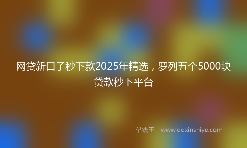 网贷新口子秒下款2025年精选，罗列五个5000块贷款秒下平台