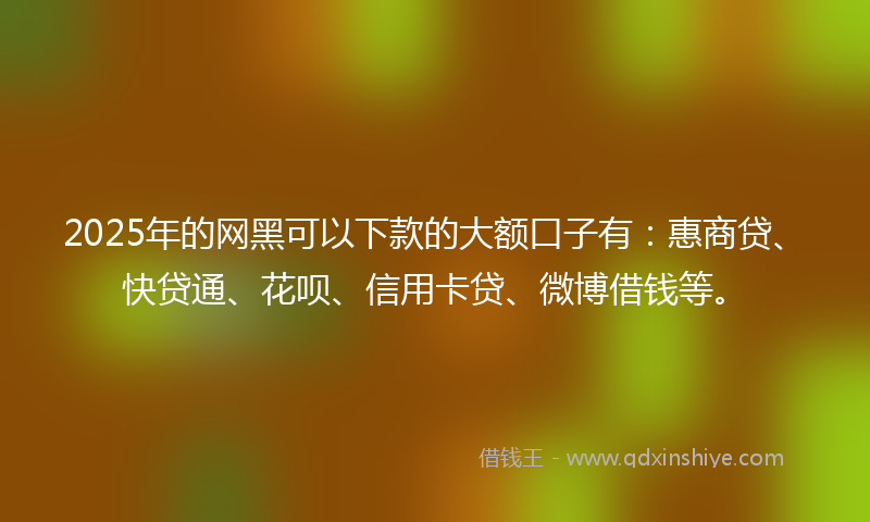 2025年的网黑可以下款的大额口子有：惠商贷、快贷通、花呗、信用卡贷、微博借钱等。