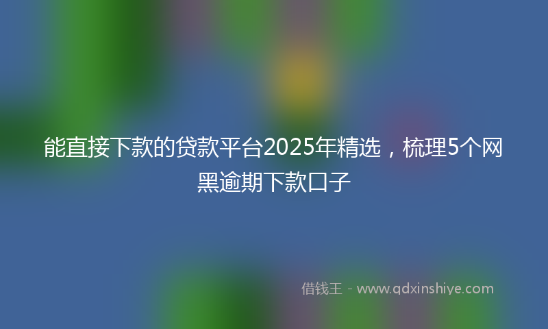 能直接下款的贷款平台2025年精选，梳理5个网黑逾期下款口子