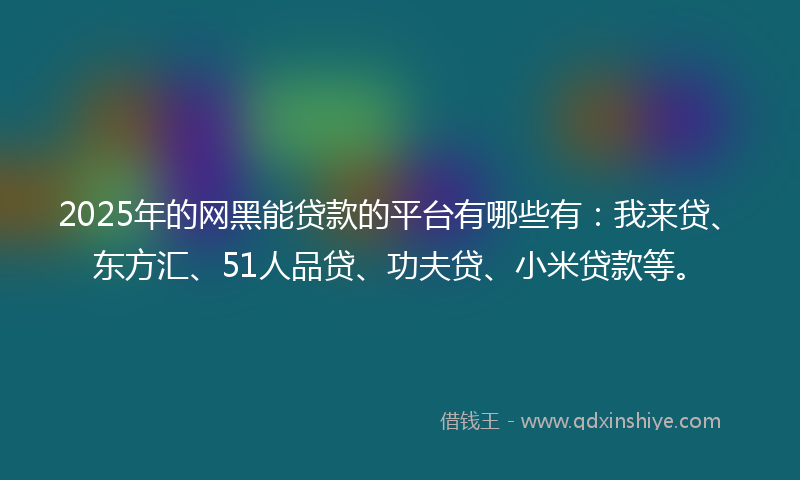 2025年的网黑能贷款的平台有哪些有：我来贷、东方汇、51人品贷、功夫贷、小米贷款等。