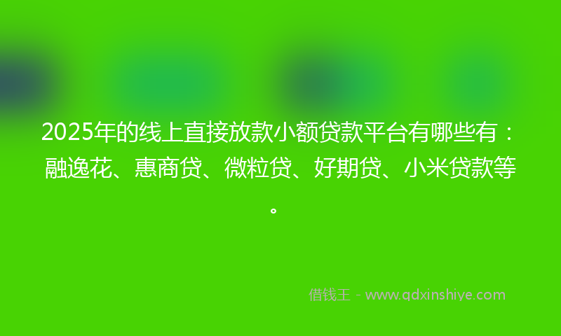 2025年的线上直接放款小额贷款平台有哪些有：融逸花、惠商贷、微粒贷、好期贷、小米贷款等。