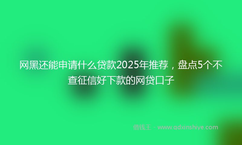 网黑还能申请什么贷款2025年推荐，盘点5个不查征信好下款的网贷口子