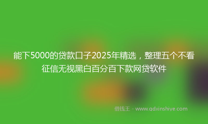 能下5000的贷款口子2025年精选，整理五个不看征信无视黑白百分百下款网贷软件