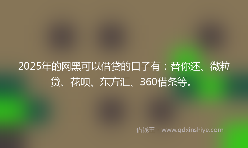2025年的网黑可以借贷的口子有：替你还、微粒贷、花呗、东方汇、360借条等。