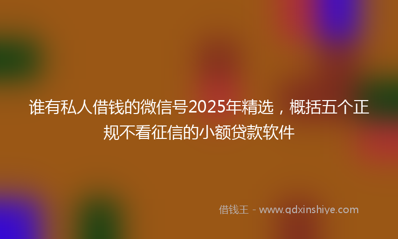 谁有私人借钱的微信号2025年精选，概括五个正规不看征信的小额贷款软件