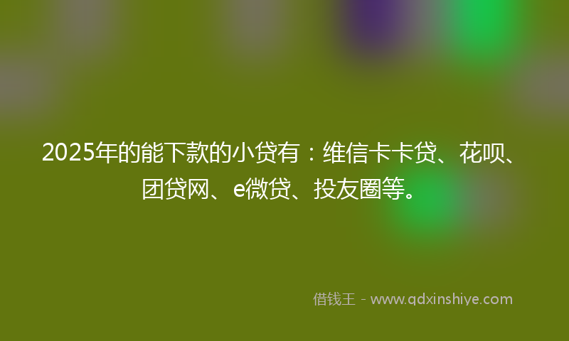 2025年的能下款的小贷有：维信卡卡贷、花呗、团贷网、e微贷、投友圈等。