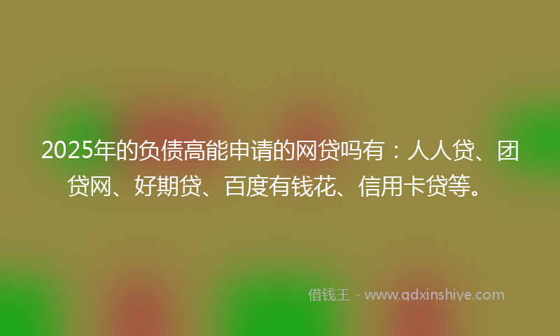 2025年的负债高能申请的网贷吗有：人人贷、团贷网、好期贷、百度有钱花、信用卡贷等。