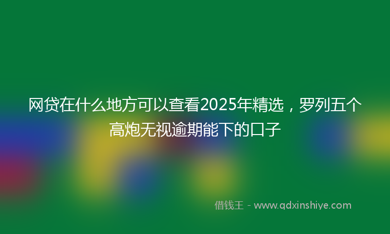 网贷在什么地方可以查看2025年精选，罗列五个高炮无视逾期能下的口子