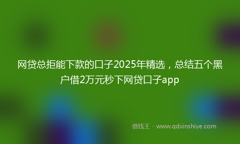 网贷总拒能下款的口子2025年精选，总结五个黑户借2万元秒下网贷口子app
