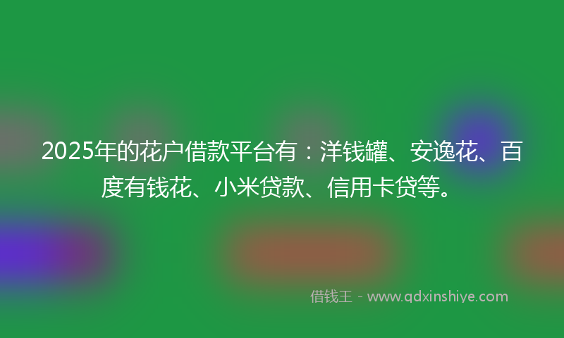 2025年的花户借款平台有：洋钱罐、安逸花、百度有钱花、小米贷款、信用卡贷等。