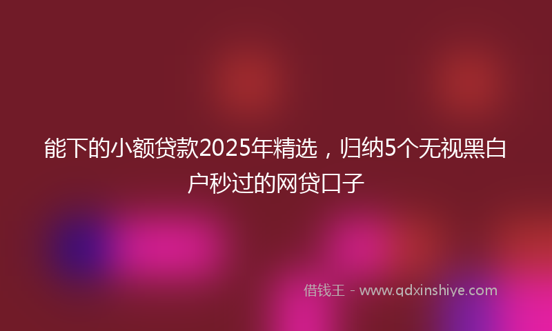 能下的小额贷款2025年精选，归纳5个无视黑白户秒过的网贷口子