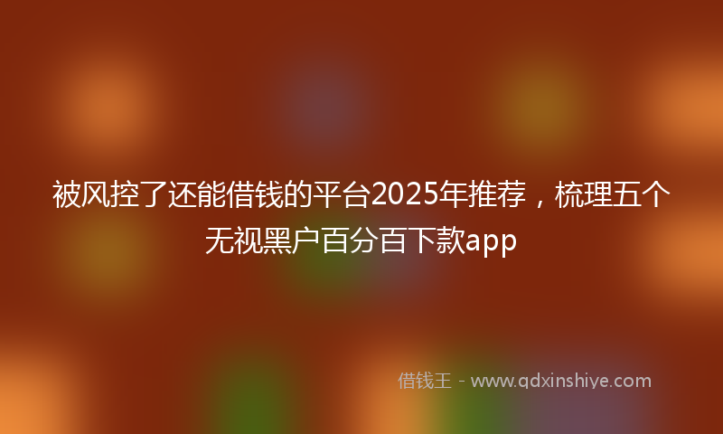 被风控了还能借钱的平台2025年推荐，梳理五个无视黑户百分百下款app