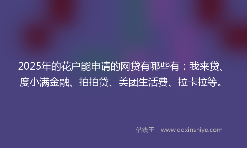 2025年的花户能申请的网贷有哪些有：我来贷、度小满金融、拍拍贷、美团生活费、拉卡拉等。