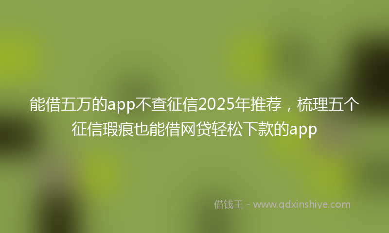 能借五万的app不查征信2025年推荐，梳理五个征信瑕疵也能借网贷轻松下款的app
