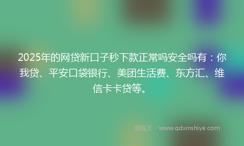 2025年的网贷新口子秒下款正常吗安全吗有：你我贷、平安口袋银行、美团生活费、东方汇、维信卡卡贷等。