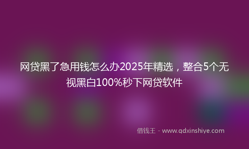 网贷黑了急用钱怎么办2025年精选，整合5个无视黑白100%秒下网贷软件