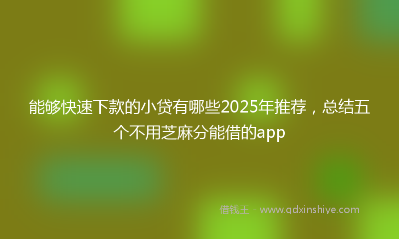 能够快速下款的小贷有哪些2025年推荐，总结五个不用芝麻分能借的app