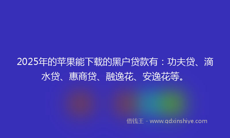 2025年的苹果能下载的黑户贷款有：功夫贷、滴水贷、惠商贷、融逸花、安逸花等。