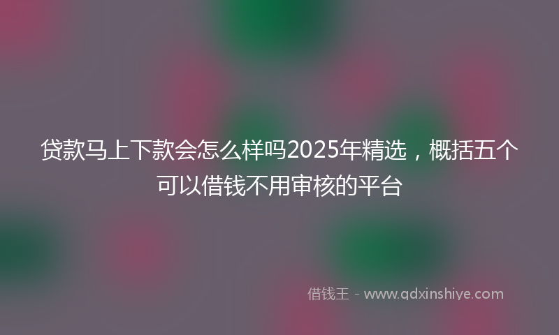 贷款马上下款会怎么样吗2025年精选，概括五个可以借钱不用审核的平台