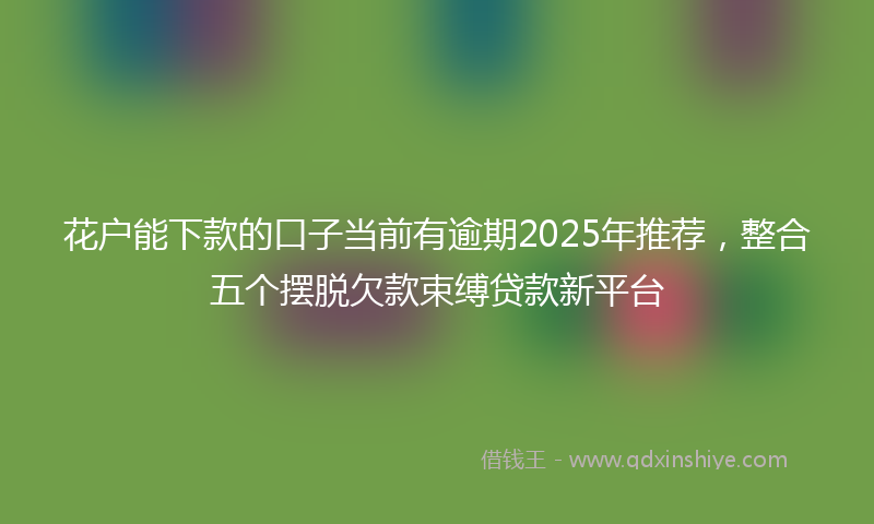花户能下款的口子当前有逾期2025年推荐，整合五个摆脱欠款束缚贷款新平台