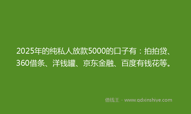 2025年的纯私人放款5000的口子有：拍拍贷、360借条、洋钱罐、京东金融、百度有钱花等。