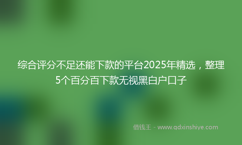 综合评分不足还能下款的平台2025年精选，整理5个百分百下款无视黑白户口子