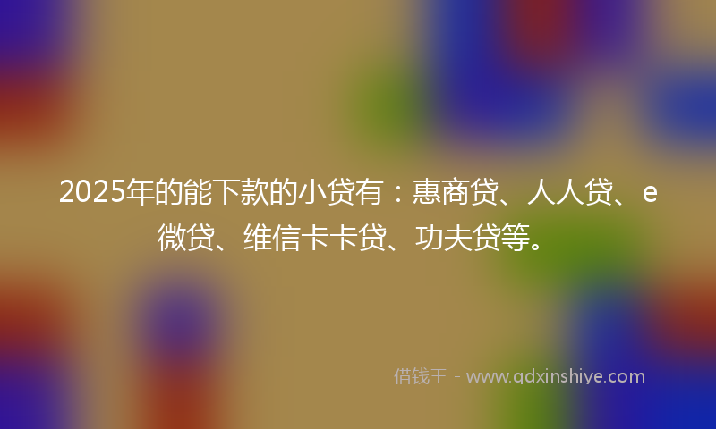 2025年的能下款的小贷有：惠商贷、人人贷、e微贷、维信卡卡贷、功夫贷等。