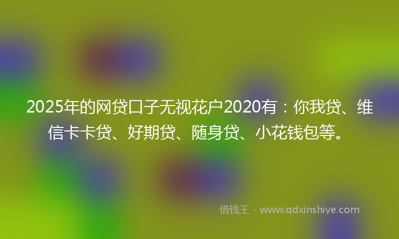 2025年的网贷口子无视花户2020有：你我贷、维信卡卡贷、好期贷、随身贷、小花钱包等。