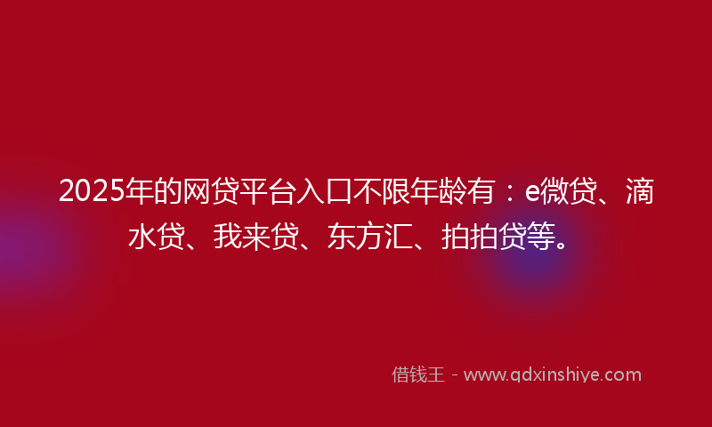 2025年的网贷平台入口不限年龄有：e微贷、滴水贷、我来贷、东方汇、拍拍贷等。