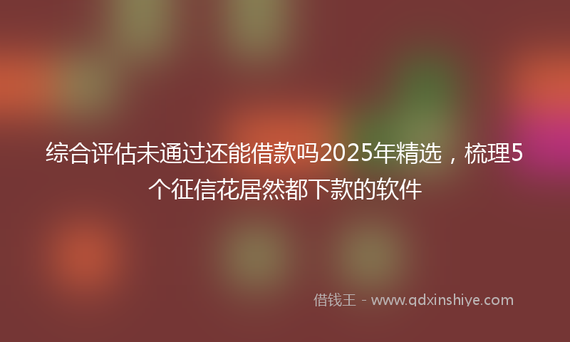综合评估未通过还能借款吗2025年精选，梳理5个征信花居然都下款的软件