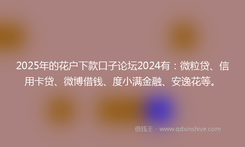 2025年的花户下款口子论坛2024有：微粒贷、信用卡贷、微博借钱、度小满金融、安逸花等。
