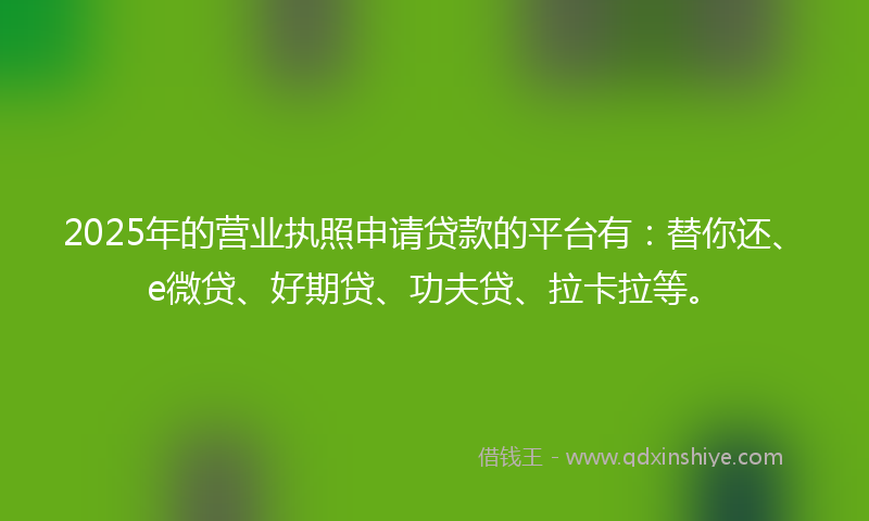2025年的营业执照申请贷款的平台有：替你还、e微贷、好期贷、功夫贷、拉卡拉等。