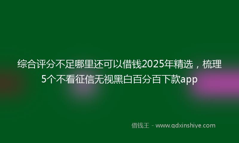 综合评分不足哪里还可以借钱2025年精选，梳理5个不看征信无视黑白百分百下款app