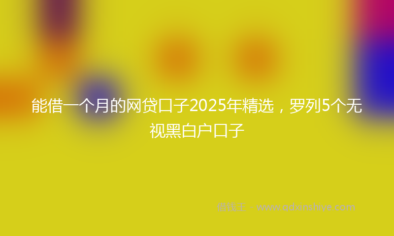 能借一个月的网贷口子2025年精选，罗列5个无视黑白户口子