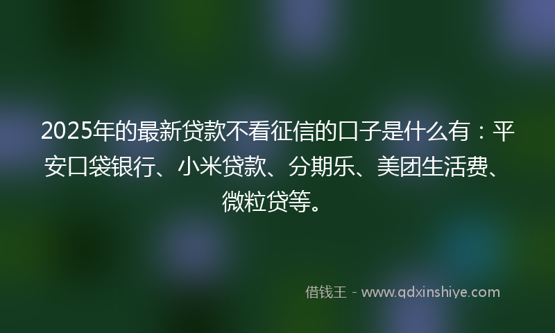 2025年的最新贷款不看征信的口子是什么有：平安口袋银行、小米贷款、分期乐、美团生活费、微粒贷等。
