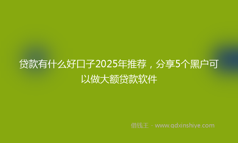 贷款有什么好口子2025年推荐，分享5个黑户可以做大额贷款软件