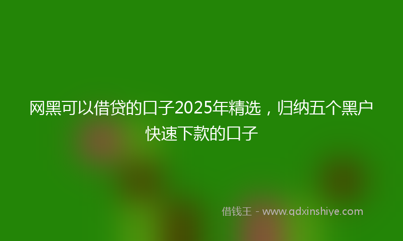 网黑可以借贷的口子2025年精选，归纳五个黑户快速下款的口子