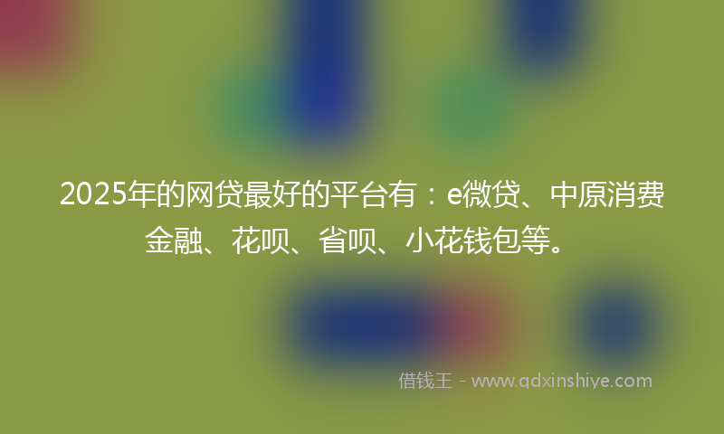 2025年的网贷最好的平台有：e微贷、中原消费金融、花呗、省呗、小花钱包等。