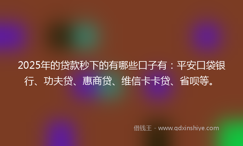 2025年的贷款秒下的有哪些口子有：平安口袋银行、功夫贷、惠商贷、维信卡卡贷、省呗等。