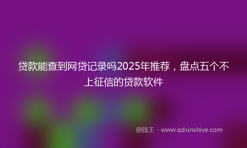 贷款能查到网贷记录吗2025年推荐，盘点五个不上征信的贷款软件
