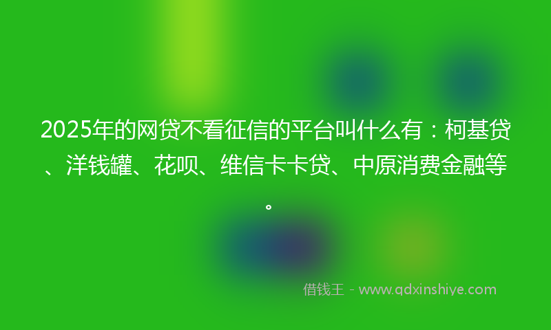 2025年的网贷不看征信的平台叫什么有：柯基贷、洋钱罐、花呗、维信卡卡贷、中原消费金融等。