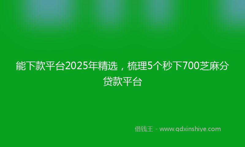 能下款平台2025年精选，梳理5个秒下700芝麻分贷款平台