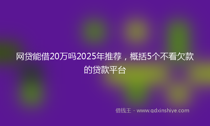 网贷能借20万吗2025年推荐，概括5个不看欠款的贷款平台