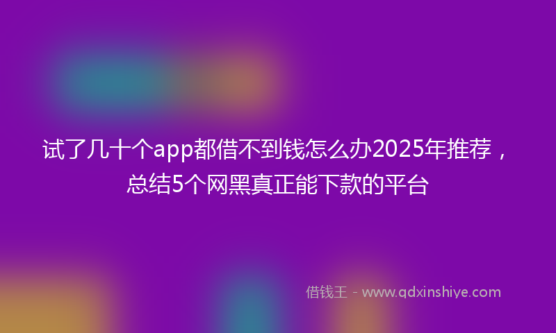 试了几十个app都借不到钱怎么办2025年推荐，总结5个网黑真正能下款的平台