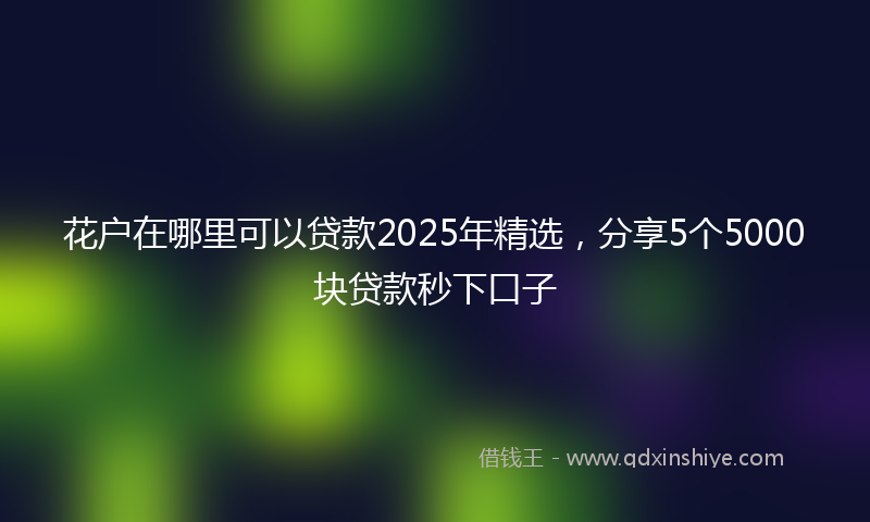 花户在哪里可以贷款2025年精选，分享5个5000块贷款秒下口子