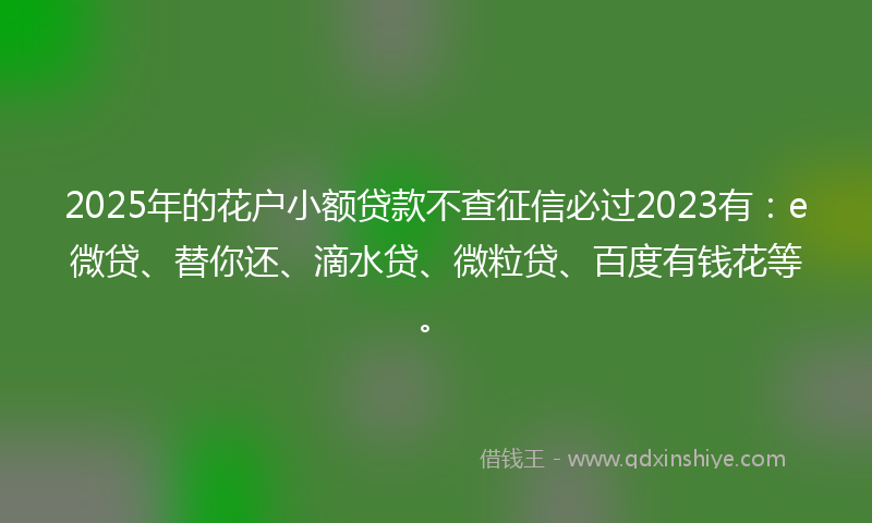 2025年的花户小额贷款不查征信必过2023有：e微贷、替你还、滴水贷、微粒贷、百度有钱花等。