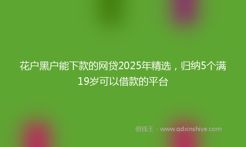 花户黑户能下款的网贷2025年精选，归纳5个满19岁可以借款的平台