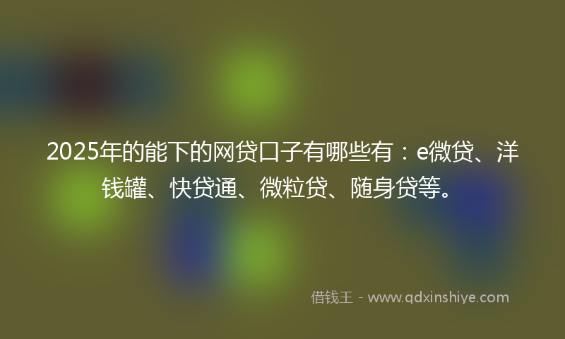 2025年的能下的网贷口子有哪些有：e微贷、洋钱罐、快贷通、微粒贷、随身贷等。