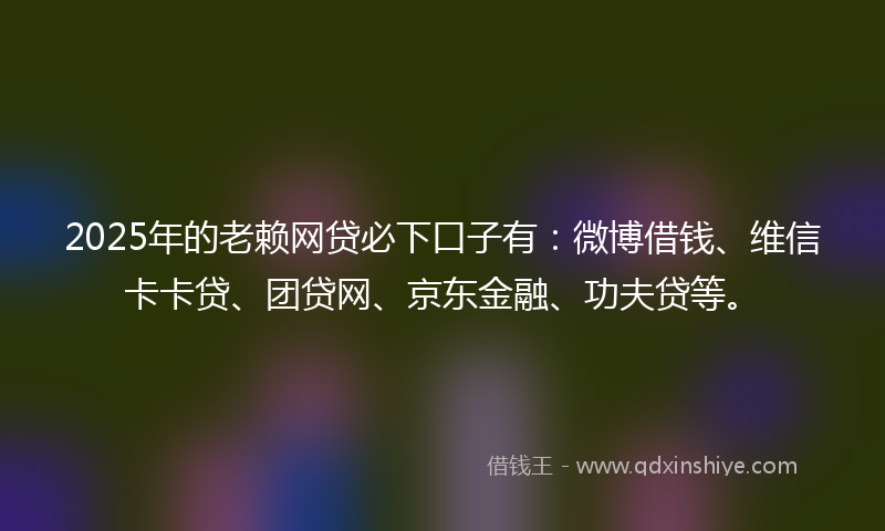 2025年的老赖网贷必下口子有：微博借钱、维信卡卡贷、团贷网、京东金融、功夫贷等。