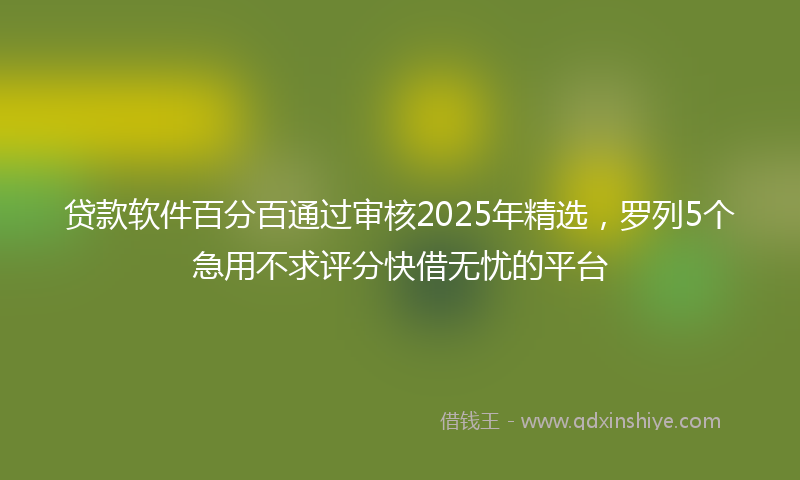 贷款软件百分百通过审核2025年精选，罗列5个急用不求评分快借无忧的平台